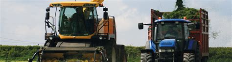 advanced ruminant nutrition  forage