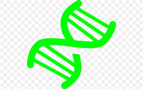 Dna Nucleic Acid Double Helix Clip Art Png 512x512px Dna Area Biology Cell Genetics