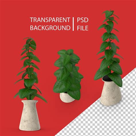 Premium Psd Indoor Plant Png