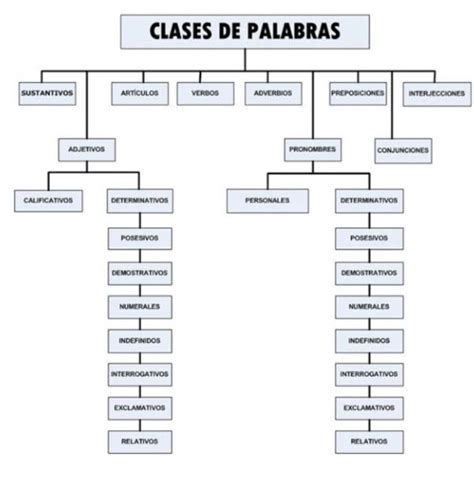 Especificar Molester Falange Forma Y Funcion De Las Palabras Corte