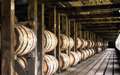 Tour the Barton 1792 Distillery - Bourbon Trail Tours