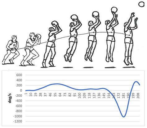 Muscles Used In A Jump Shot at Shawna Mchenry blog