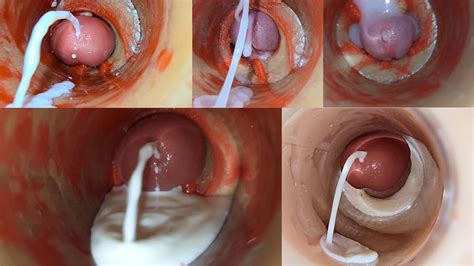 Hrvati Gay Pornovidei XHamster