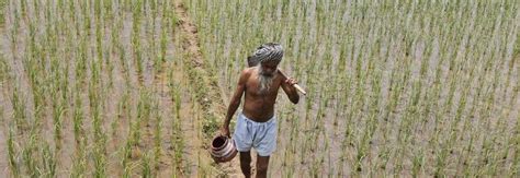 It Will Take More Than A Loan Waiver For Punjab S Farmers To Stop