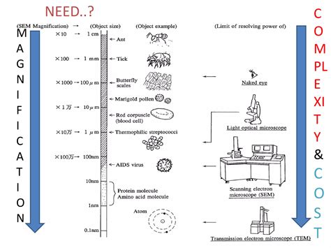Scanning Electron Microscopy (SEM) lecture | PPTX