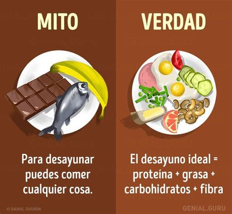 Desmontamos 15 Mitos Sobre La Alimentación Saludable 🏰 Casas Increíbles