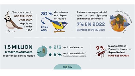 Le déclin massif de la biodiversité ekodev website