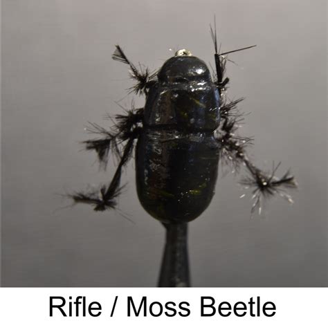riffle beetle wild fly fishing   karoo
