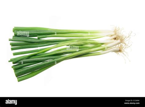 Spring Onions Hi Res Stock Photography And Images Alamy