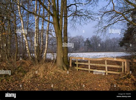 Old Cattle Gate Made Of Wood Stock Photo Alamy