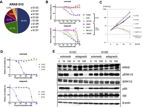 KRAS Secondary Mutations That Confer Acquired Resistance To KRAS G12C