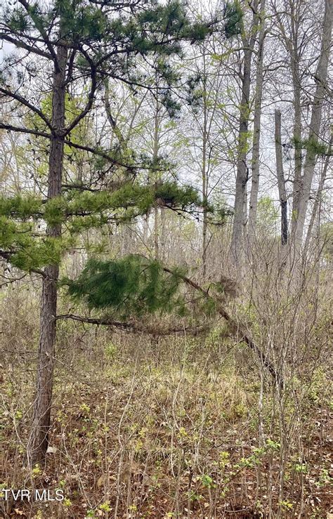 Lot 18 Aidans Trail Rutledge Tn Lhrmls 02117903