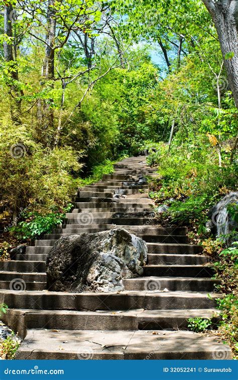 Etapas De Pedra Que Conduzem O Monte Imagem De Stock Imagem De