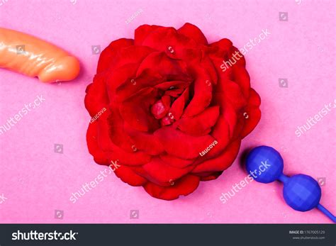 Red Rose Blossom Vagina Symbol Venus Stock Photo 1767005129 Shutterstock