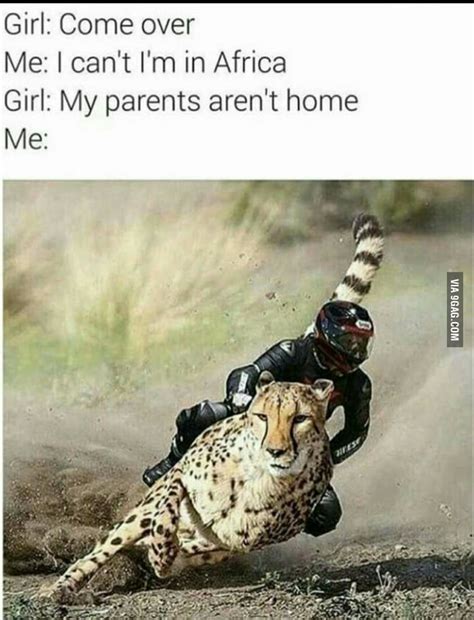 Gimme Da Pussy Boss 9GAG