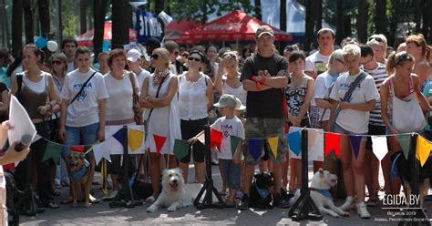 4 октября – Международный день защиты животных. Новости защиты животных ...