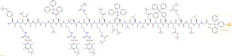 Tyr43 Parathyroid Hormone 43 68 Human H2N Tyr Arg Asp Ala Gly Ser