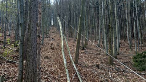 LKT 81 Turbo a Lesná lanovka ťažba dreva do kopca Počasie sa s nami