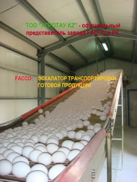 Птицефабрики, оборудование всех видов с завода-производителя. купить в ...