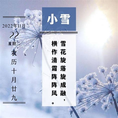 有关2022年小雪节气古诗词（内含简约配图） 知乎