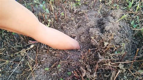 Как сделать землю мягкой