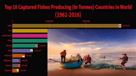 Top 10 Largest Fish Producing Countries In The World Racing Bar Graph