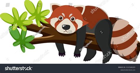 Cute Red Raccoon Flat Cartoon Style Stock Vector Royalty Free