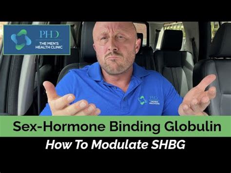 Sex Hormone Binding Globulin How To Modulate SHBG YouTube