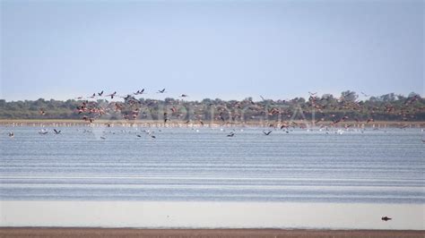 Inventario de humedales en Santa Fe por qué es tan importante