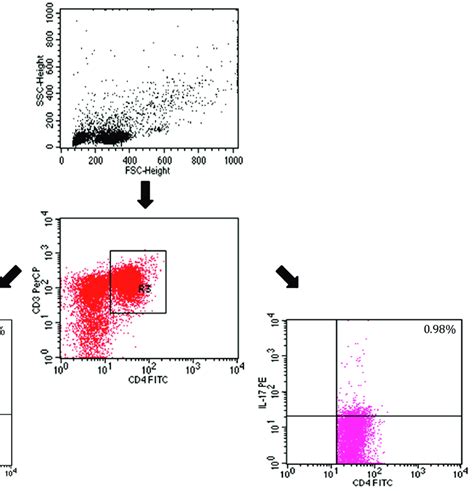 An Example Of A 3 Color Flow Cytometry Analysis Of Lymphocytes From A