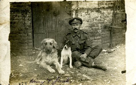 Staff Sergeant Horse Farrier Of The Army Service Corps Asc With The