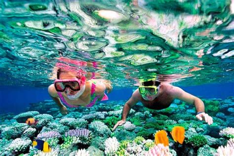 Snorkelling In Pigeon Island From Trincomalee Civitatis