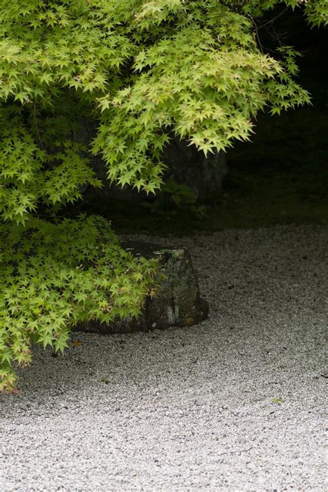 1000+ images about Rock gardens of japan on Pinterest