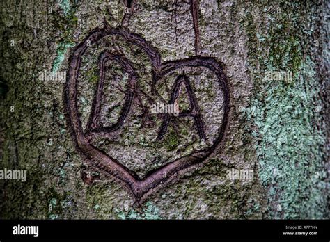 Initials Carved Love Hi Res Stock Photography And Images Alamy