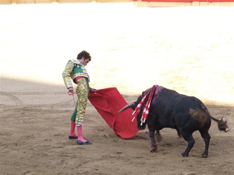 Kostenlose Foto Stier Spanien Sport Performance Stierkampfarena