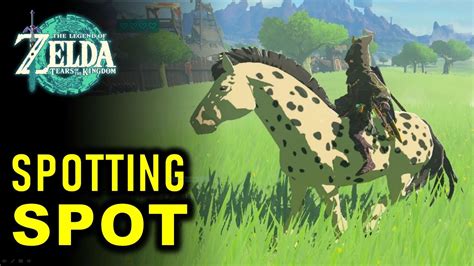 Spotting Spot Location Side Quest Guide Zelda Tears Of The Kingdom