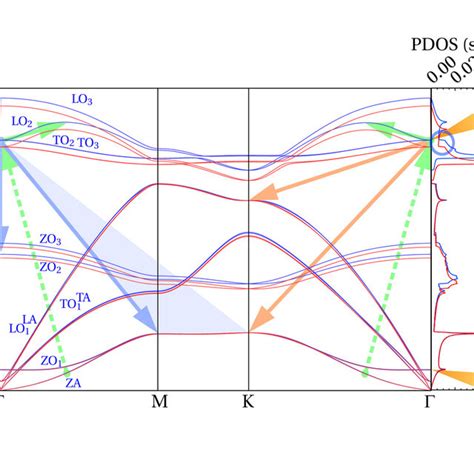 Phonon dispersion and density of states for isotopically pure ¹⁰BN