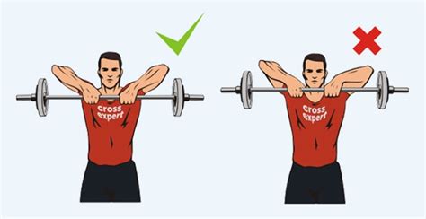 тяга штанги к подбородку что качает