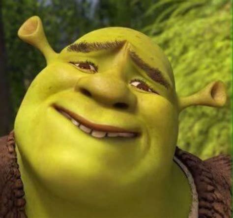 Pin Su Memes Facce Meme Foto Di Animali Divertenti Immagini Divertenti