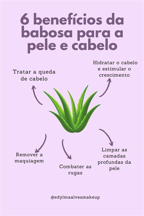 Quais Os Benefícios Da Babosa Para O Cabelo - 6 benefícios da babosa para a pele e cabelo | Babosa, Cabelo ...
