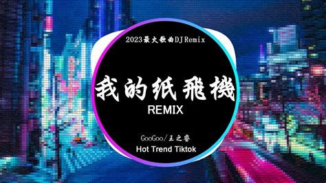 GooGoo 王之睿 我的紙飛機 DJ抖音 Remix 抖音热门歌曲我的紙飛機呀飛呀飛飛到了蘆蕩邊抖音 Hot Tiktok Douyin Baozhang Remix