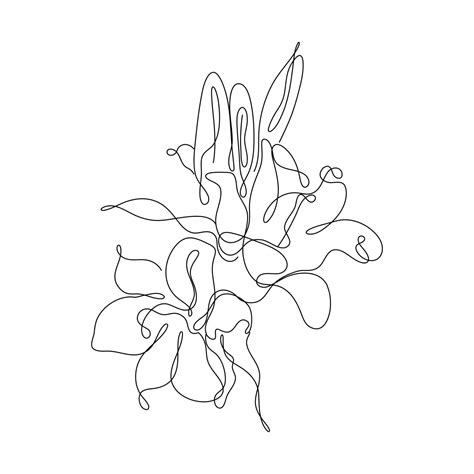 Download Aesthetic White Background