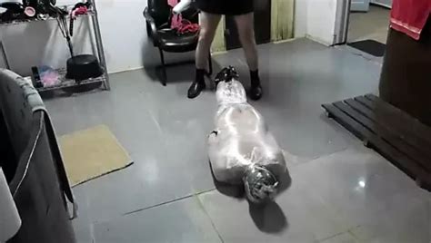 Mummification Tape Gay Man Man Porn Xhamster