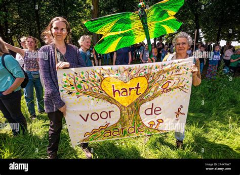 Fillettes en bikini Banque de photographies et dimages à haute