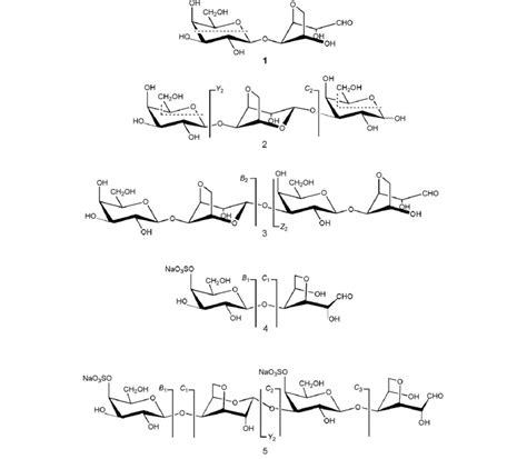 Molecular structure and main fragmentations of oligosaccharides 1-5 ...