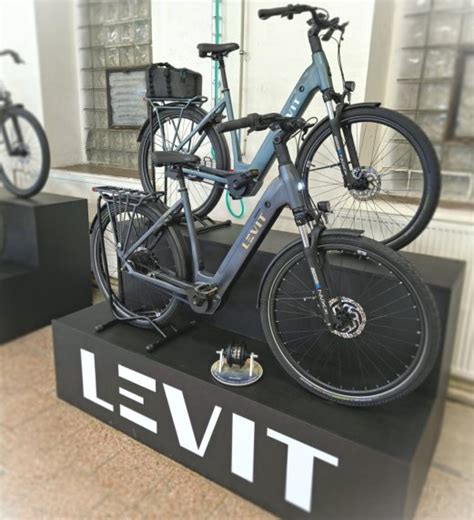 discover    collection levit