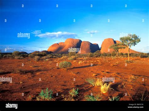 Australia Rock Cliff Kata Tjuta Scenery Northern Territory Out