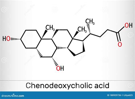 Chenodeoxycholic Acid Cdca Chenocholic Acid C24h40o4 Molecule It Is