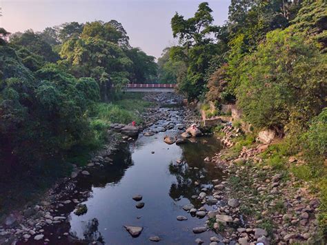 7 Fakta Penting Sungai Ciliwung Yang Harus Kita Ketahui Hallo Bogor