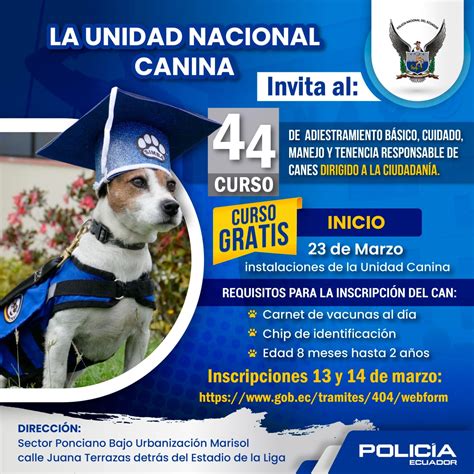 101 Ejercicios De Adiestramiento Canino 5